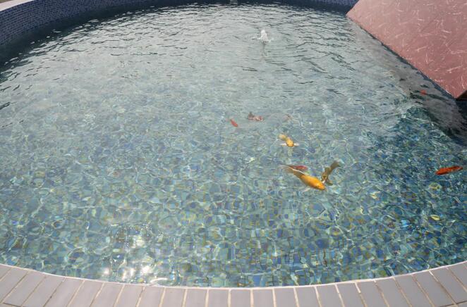 ǧ�ڹ���(�й�����)Ψһ�ٷ���վ